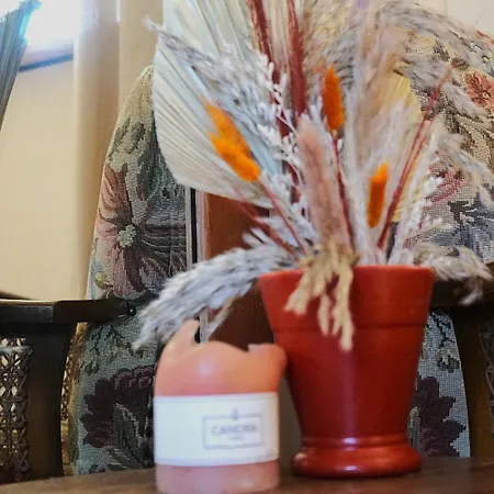 Ont Moeten - Helemaal Hier Chalet